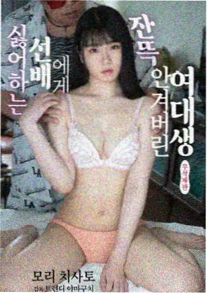 犬夜叉剧场版4声优阵容资讯配图